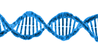 DNA batterico letto all'indietro in avanti bidirezionale