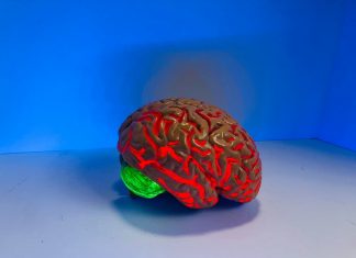 Potential Therapeutic Role of Ketones in Alzheimer’s Disease Ketones Alzheimer's Disease ketogenic diet