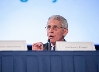 COVID-19 Outbreak US Congress Anthony Fauci