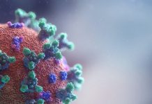 SARS-CoV37 के लैम्ब्डा वेरिएंट (C.2) में उच्च संक्रामकता और इम्यून एस्केप है लैम्ब्डा वेरिएंट C.37 SARS-CoV2 इंफेक्शन इम्यून एस्केप