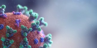 Escape inmune de la infectividad del SARS-CoV37 de la variante C.2 de Lambda