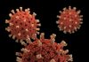 variants of coronavirus mars COVID-19 SARS CoV 2 evolution of virus replication errors mutation