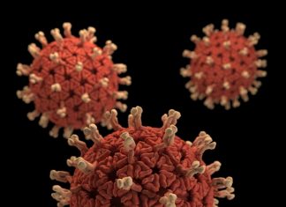 कोरोनावायरस के प्रकार: हम अब तक क्या जानते हैं कोरोनवायरस के वेरिएंट COVID-19 SARS CoV 2 वायरस प्रतिकृति त्रुटियों का विकास उत्परिवर्तन