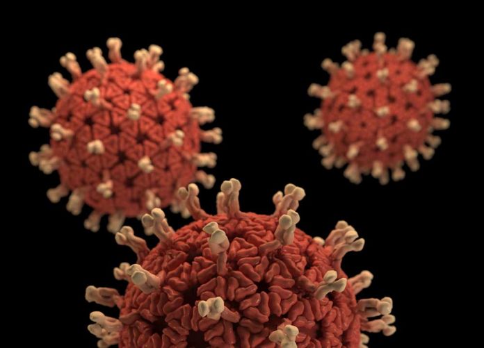 कोरोनवायरस के वेरिएंट COVID-19 SARS CoV 2 वायरस प्रतिकृति त्रुटियों का विकास उत्परिवर्तन