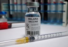 मलेरियाविरोधी लस: नवीन सापडलेल्या डीएनए लस तंत्रज्ञानाचा भविष्यातील अभ्यासक्रमावर प्रभाव पडेल का? मलेरियाविरोधी लस डीएनए लस तंत्रज्ञान