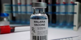 Malária elleni vakcinák DNS vakcina technológia