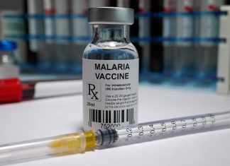 Anti-Malaria Vaccines DNA Vaccine Technology