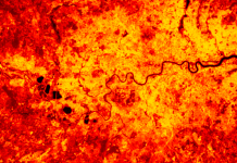 Data tal-Osservazzjoni tad-Dinja mill-Ispazju biex tgħin fl-adattament għall-isfidi tat-Tibdil fil-Klima Data tal-Osservazzjoni tad-Dinja Sfidi tal-adattament tal-ispazju Tibdil fil-Klima Għodda tal-Indiċi tar-Riskju fil-Klima CRISP