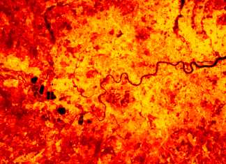 Dane z obserwacji Ziemi z kosmosu pomagają w adaptacji do wyzwań związanych ze zmianą klimatu Dane z obserwacji Ziemi Wyzwania związane z adaptacją do przestrzeni kosmicznej Zmiana klimatu Narzędzie indeksu ryzyka klimatycznego CRISP