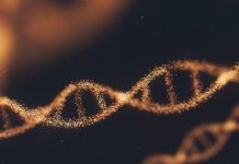 LZTFL1: ເຊື້ອພະຍາດ COVID-19 ມີຄວາມສ່ຽງສູງທີ່ພົບທົ່ວໄປກັບຊາວເອເຊຍໃຕ້ LZTFL1 ມີຄວາມສ່ຽງສູງພັນທຸກໍາ COVID-19 ທົ່ວໄປໃນອາຊີໃຕ້