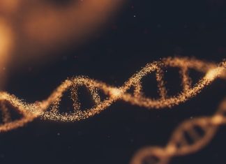 LZTFL1: उच्च जोखिम कोभिड-१९ जीन दक्षिण एसियालीहरूलाई पहिचान गरिएको छ LZTFL1 उच्च जोखिम कोविड-19 जीन दक्षिण एसियालीहरूमा साझा