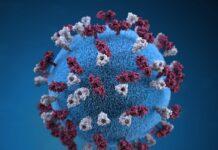 Nuvaxovid & Covovax: a 10ª e a 9ª vacinas COVID-19 na Lista de Uso de Emergência da OMS Vacinas Nuvaxovid Covovax COVID-19 Lista de Uso de Emergência da OMS