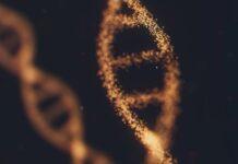 Iyatọ Gene ti o daabobo lodi si COVID-19 ti o lagbara iyatọ jiini ti o lagbara COVID-19 OAS1