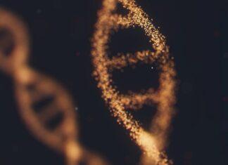 Варыянт Gene, які абараняе ад цяжкай формы COVID-19 варыянт гена цяжкай формы COVID-19 OAS1