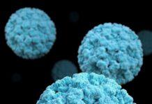 Neue 'IHU'-Variante (B.1.640.2) in Frankreich entdeckt Frankreich IHU Variante B.1.640.2