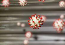 NeoCoV: The First Case of a MERS-CoV Related Virus using ACE2 NeoCoV coronavirus strain MERS-CoV