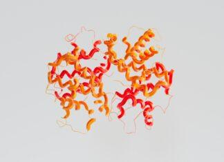 RNA-technologie: van vaccins tegen COVID-19 tot behandeling van de ziekte van Charcot-Marie-Tooth RNA-technologie: van vaccins tegen COVID-19 tot behandeling van de ziekte van Charcot-Marie-Tooth