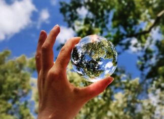 जीवन के इतिहास में बड़े पैमाने पर विलुप्त होने: नासा के आर्टेमिस चंद्रमा और ग्रहों की रक्षा डार्ट मिशनों का महत्व जीवन के इतिहास में बड़े पैमाने पर विलुप्त होने: नासा के आर्टेमिस चंद्रमा और ग्रहों की रक्षा डार्ट मिशनों का महत्व