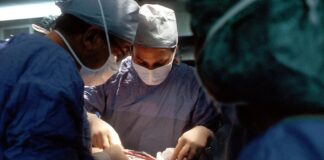Pénurie d'organes pour la transplantation : conversion enzymatique du groupe sanguin des reins et des poumons du donneur