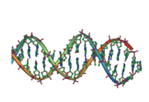 aDNA research unravels “family and kinship” systems of prehistoric communities aDNA research unravels “family and kinship” systems of prehistoric communities