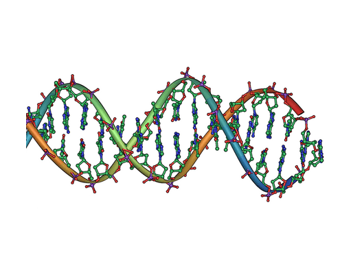 La recherche sur l'ADN révèle les systèmes de « famille et de parenté » des communautés préhistoriques