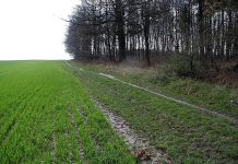 Nga Putau Kohi Mokoiti Whenua (SMFCs): Ka whai hua te Hoahoa Hou ki te Taiao me nga Kaiahuwhenua Nga Putau Kohi Mokoiti Whenua (SMFCs): Ka whai hua te Hoahoa Hou ki te Taiao me nga Kaiahuwhenua