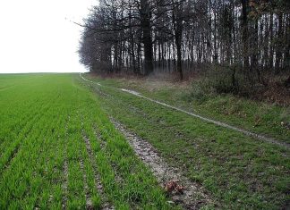 ნიადაგის მიკრობული საწვავის უჯრედები (SMFCs): ახალ დიზაინს შეუძლია სარგებელს მოუტანოს გარემოს და ფერმერებს ნიადაგის მიკრობული საწვავის უჯრედები (SMFCs): ახალ დიზაინს შეუძლია სარგებელს მოუტანოს გარემოს და ფერმერებს