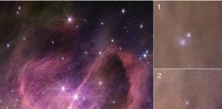 Brown Dwarfs (BDs): James Webb-telescoop identificeert het kleinste object dat op een sterachtige manier is gevormd