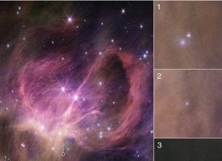 బ్రౌన్ డ్వార్ఫ్స్ (BDలు): జేమ్స్ వెబ్ టెలిస్కోప్ నక్షత్రం లాంటి పద్ధతిలో ఏర్పడిన అతి చిన్న వస్తువును గుర్తిస్తుంది బ్రౌన్ డ్వార్ఫ్స్ (BDలు): జేమ్స్ వెబ్ టెలిస్కోప్ నక్షత్రం లాంటి పద్ధతిలో ఏర్పడిన అతి చిన్న వస్తువును గుర్తిస్తుంది