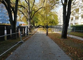 Inteligência Artificial Gerativa (IA): OMS emite novas orientações sobre governança de LMMs Inteligência Artificial Gerativa (IA): OMS emite novas orientações sobre governança de LMMs