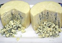 Warna Baharu 'Blue Cheese' Warna Baharu 'Blue Cheese'