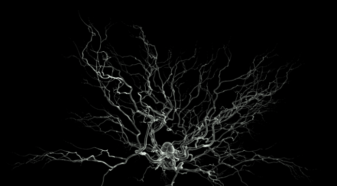 La biostampa 3D assembla per la prima volta il tessuto funzionale del cervello umano