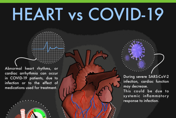 COVID-19: Ernstige longinfectie beïnvloedt het hart door ‘cardiale macrofaagverschuiving’