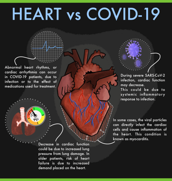 COVID-19: Ciężka infekcja płuc wpływa na serce poprzez „przesunięcie makrofagów w sercu”