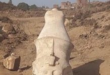 रामेसेस II च्या पुतळ्याचा वरचा भाग उघडा झाला रामेसेस II च्या पुतळ्याचा वरचा भाग उघडा झाला