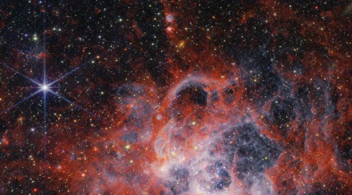 Nuove immagini più dettagliate della regione di formazione stellare NGC 604