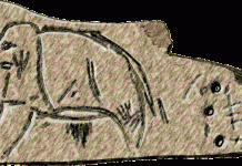 Fossilien alter Chromosomen mit intakter 3D-Struktur eines ausgestorbenen Wollmammuts Fossilien alter Chromosomen mit intakter 3D-Struktur eines ausgestorbenen Wollmammuts