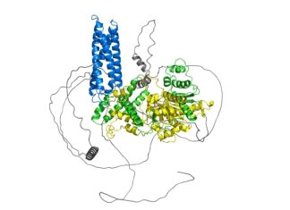 2024 Nobel in Chemistry for “Designing protein” and “Predicting protein structure” 2024 Nobel in Chemistry for “Designing protein” and “Predicting protein structure”