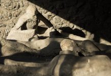 El ADN antiguo refuta la interpretación tradicional de Pompeya El ADN antiguo refuta la interpretación tradicional de Pompeya