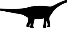 U zbuluan shumë shtigje dinosaurësh në Oxfordshire U zbuluan shumë shtigje dinosaurësh në Oxfordshire