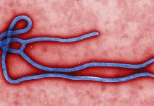 Outbreak of Bundibugyo Ebolavirus in DR Congo and Uganda Outbreak of Bundibugyo virus in DR Congo and Uganda